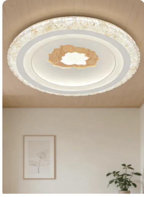 Plafonnier LED décoratif en acrylique — modèle Y60818