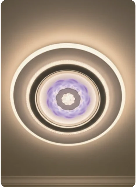Plafonnier décoratif — modèle Y60663