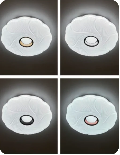 Plafonnier décoratif en plastique — modèle Y65352